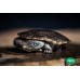 Tortuga cuello de serpiente - Chelodina longicollis